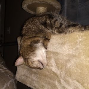 Meet your Posher, Roseanne